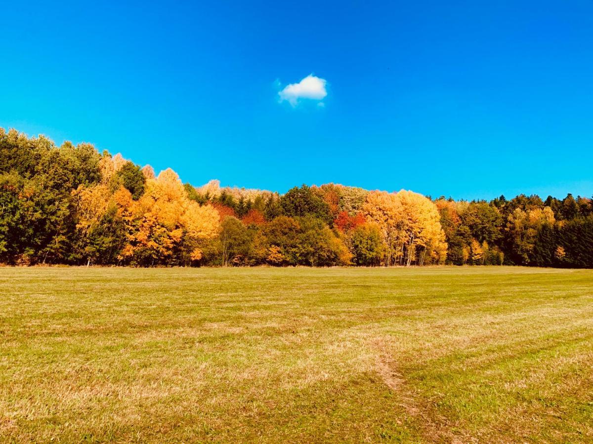 Bayerischer Wald - Balbersdorf Waffenbrunn Extérieur photo